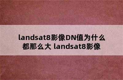 landsat8影像DN值为什么都那么大 landsat8影像